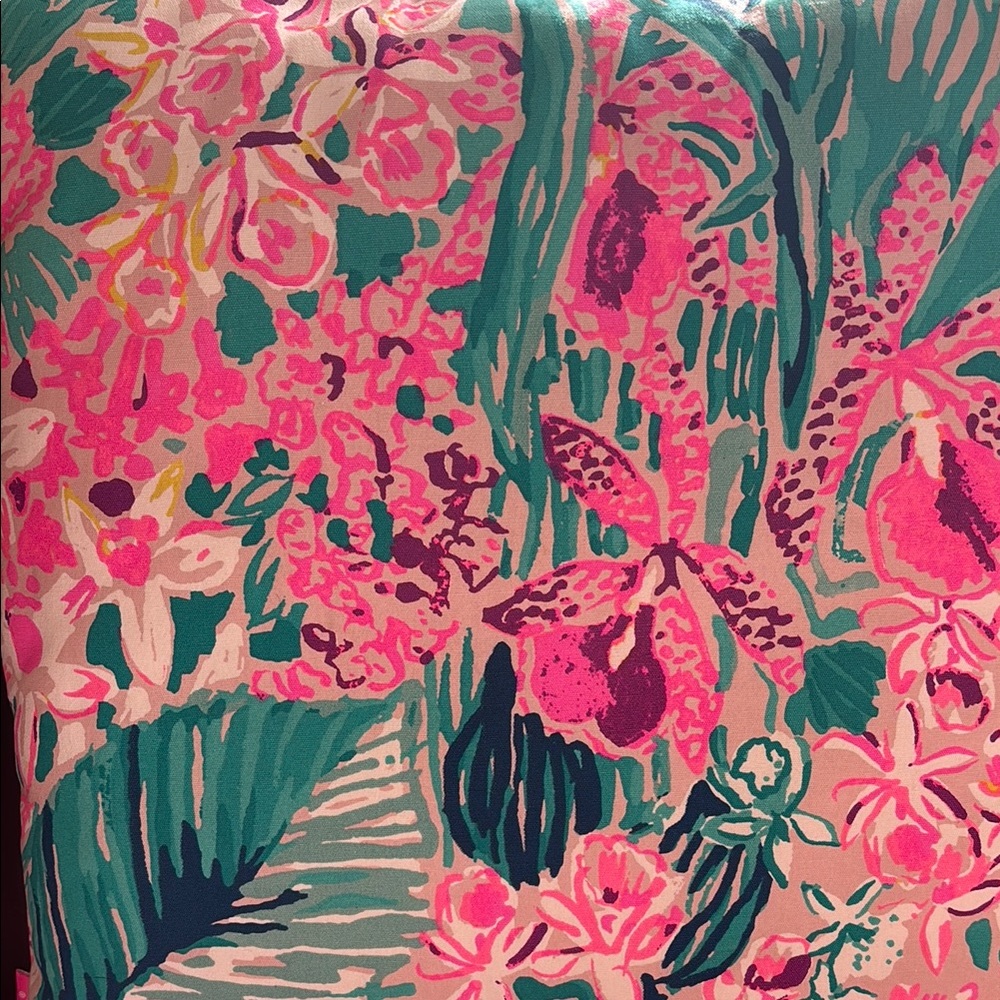 Lilly Pulitzer pillow - Picture 5 of 5
